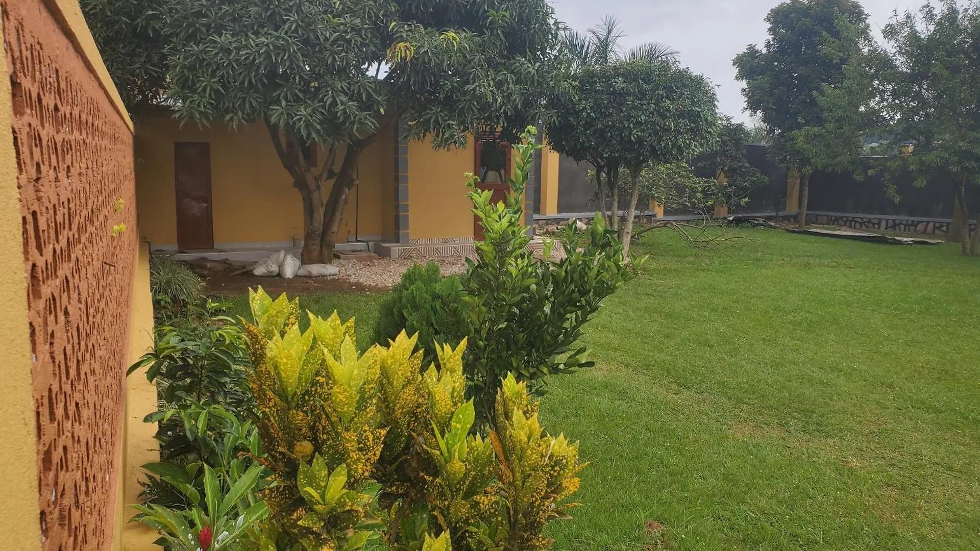 Gorilla African Guest House Entebbe Uganda